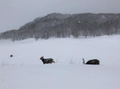 网曝韩雪早已嫁人生女，究竟有何依据？